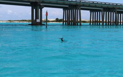 Destin Boat Rentals with RMR Water Sports: Adventure Awaits!
